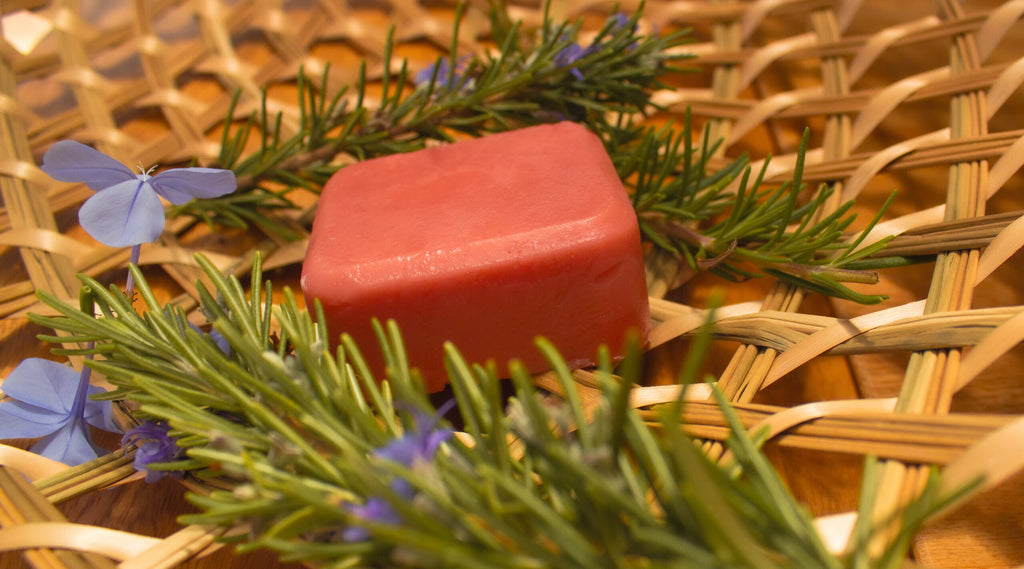 Acondicionador en Barra Natural para Todo Tipo de Cabello